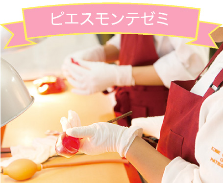 ピエスモンテゼミ