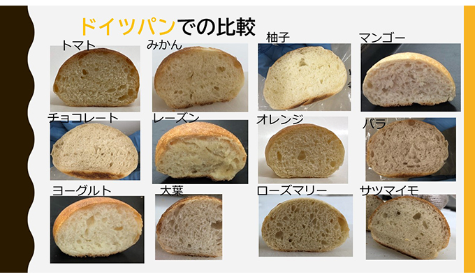 製パン研究ゼミ