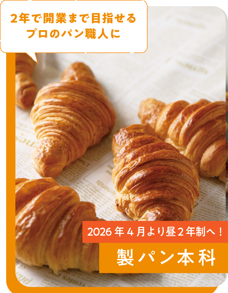 製パン本科
