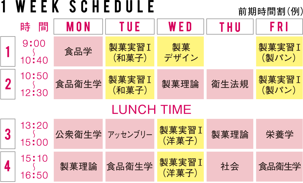 スケジュール1年次